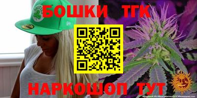 крисы Будённовск