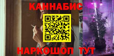 крисы Будённовск